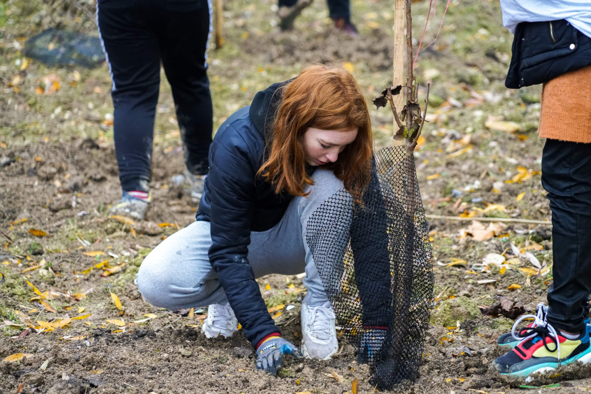 Adolescente qui plante un arbre