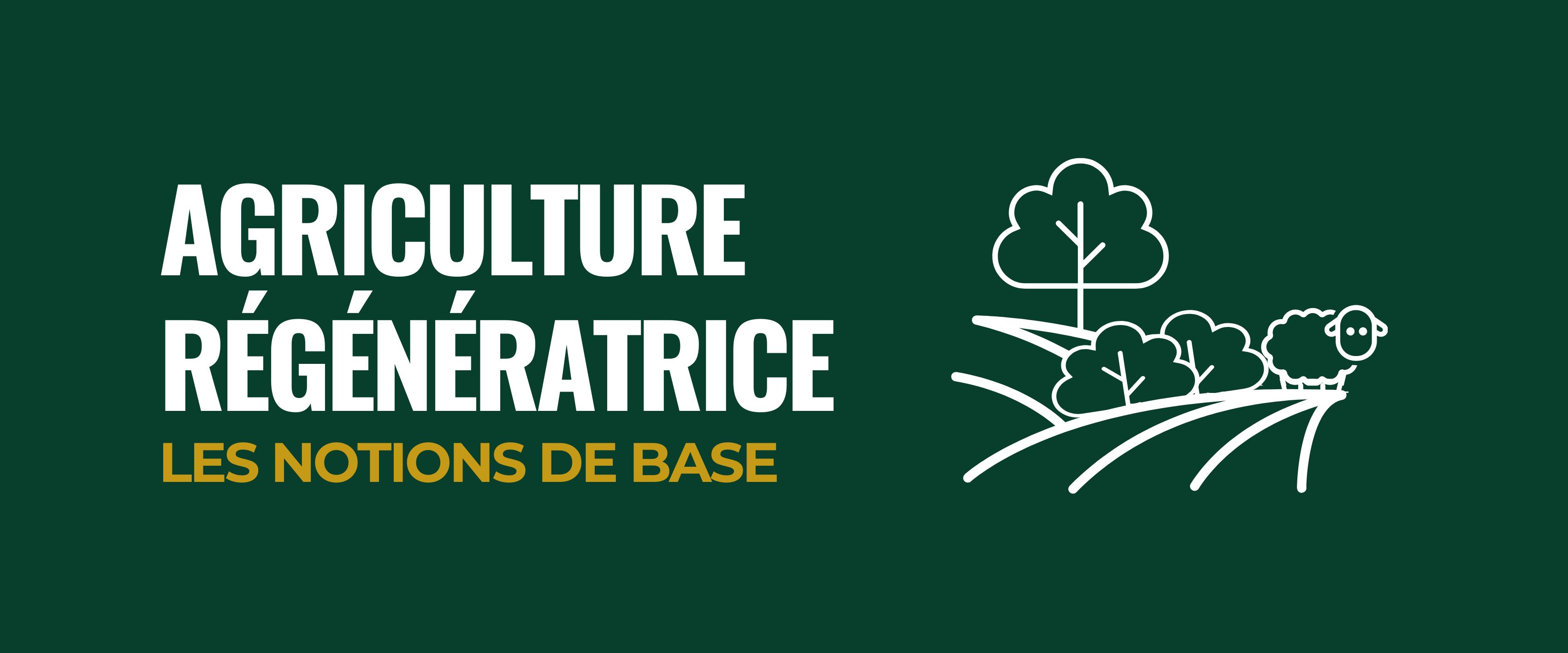 Agriculture régénératrice illustration 