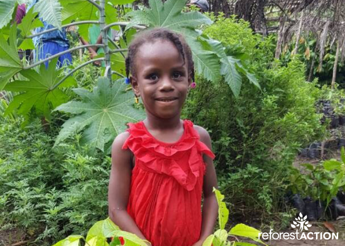 Enfant dans une pépinière de cacaoyers en Haïti