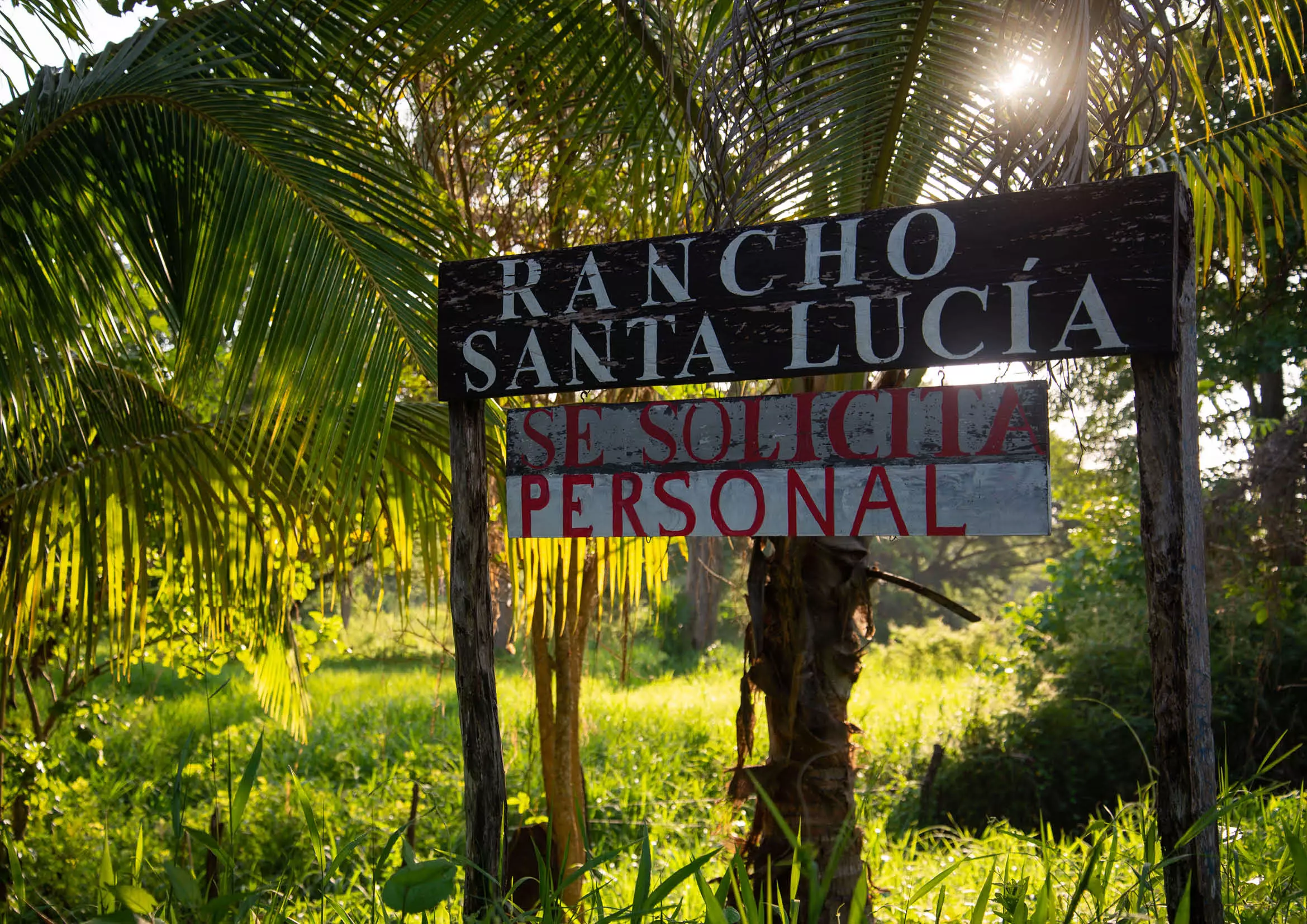 Zone de restauration d'écosystèmes au Mexique 