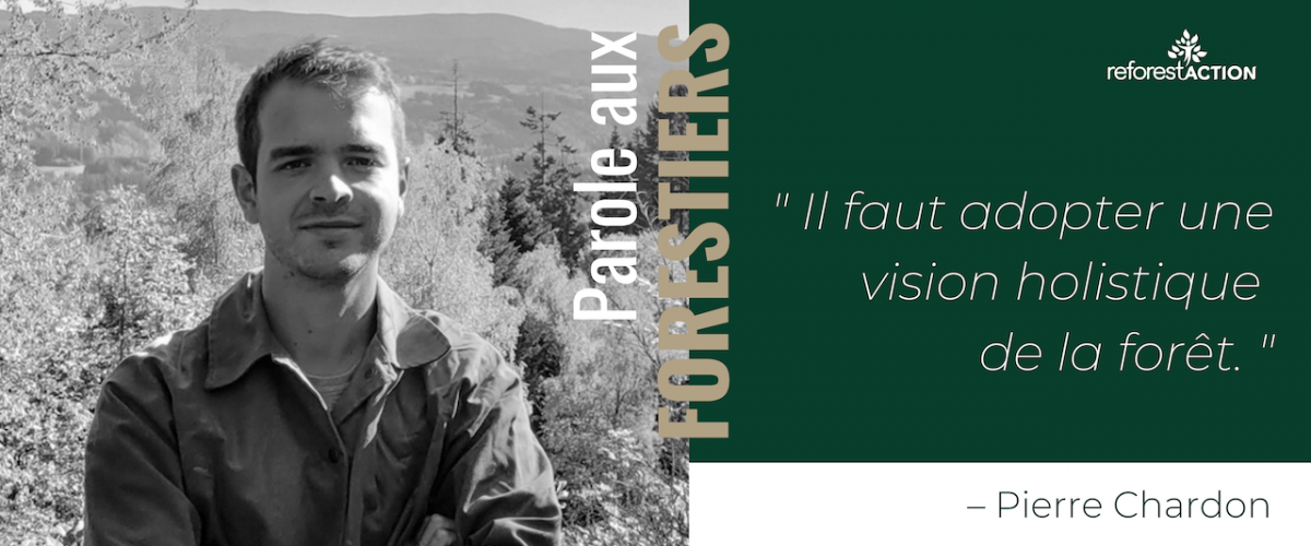Pierre Chardon, propriétaire forestier
