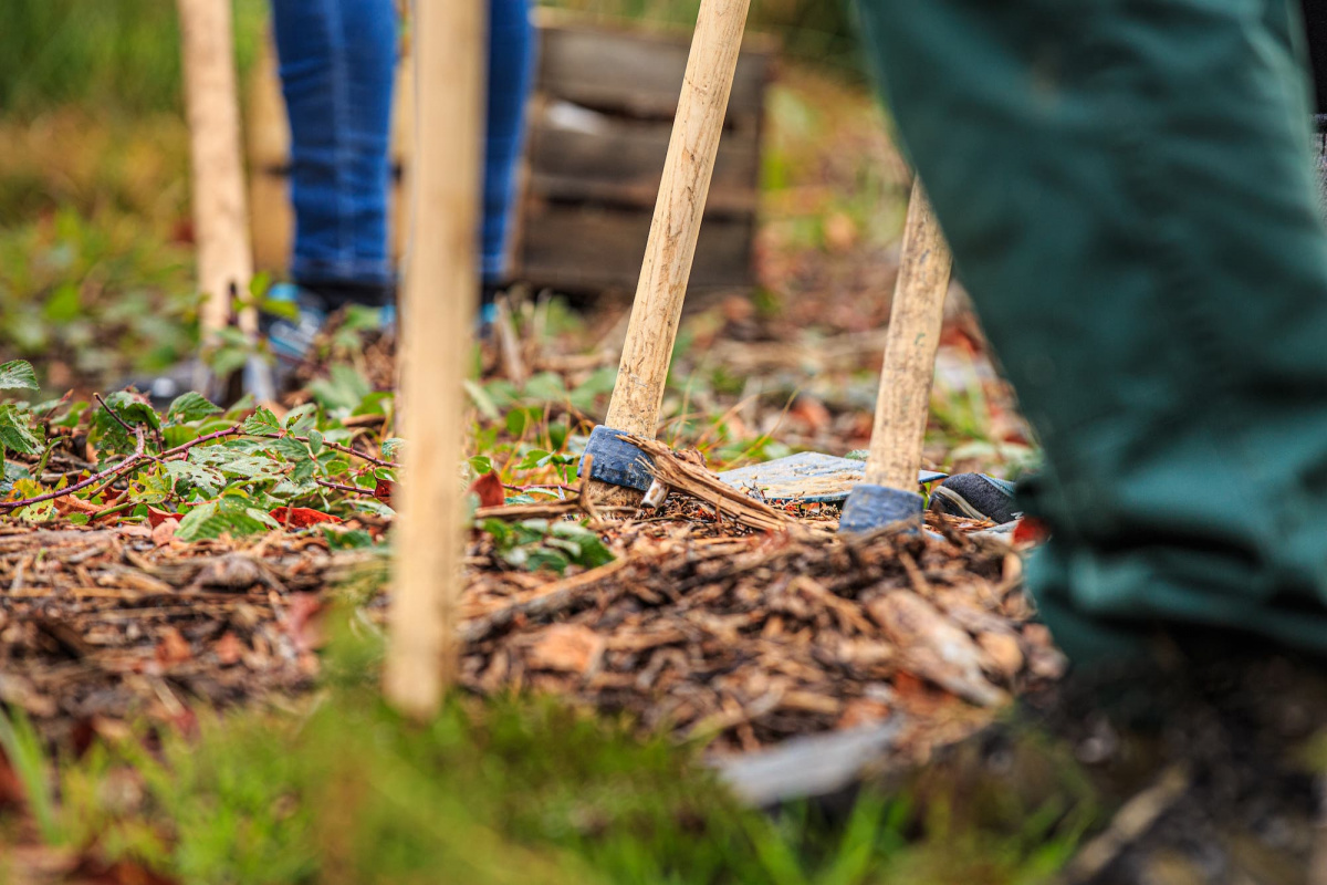 Soil preparation before planting