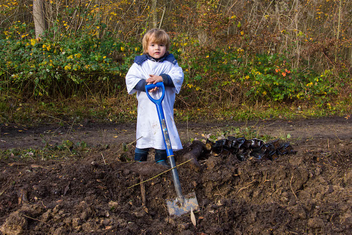 Reforestation projects can be used to upgrade a dying plot of land