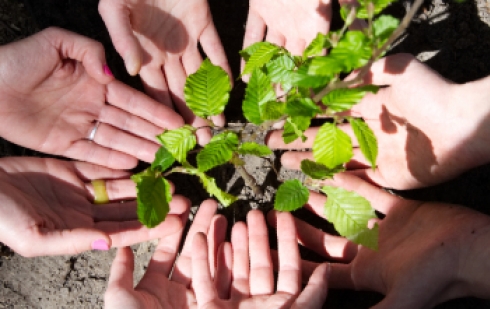 En savoir plus sur Reforest'Action