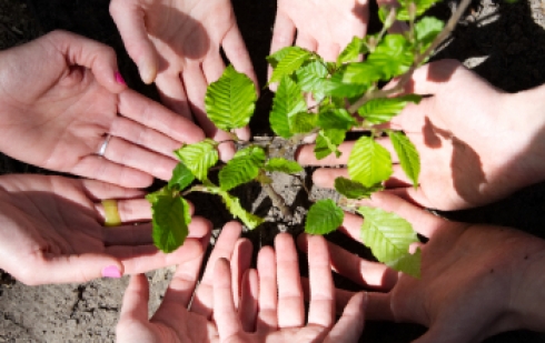 Learn more about Reforest'Action