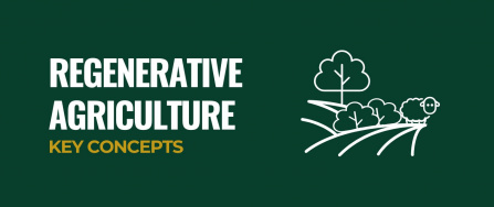 Regenerative Agriculture 