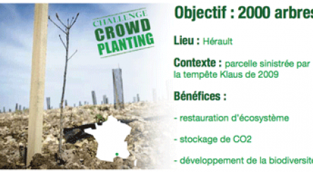 crowdplanting