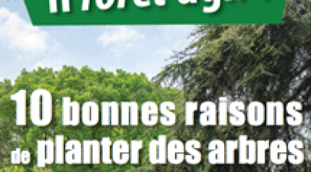 planter des arbres 