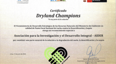 reforestation, reboisement, Forêt, planter, arbre, environnement, climat, planète, écologie