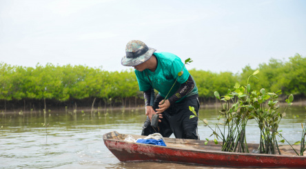 Blue Carbon Ecosystems: A “Nature-Based Solution” to fight Climate Change