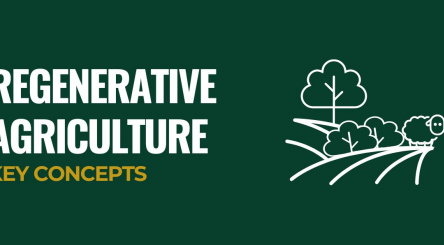 Regenerative Agriculture 