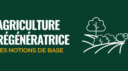 Agriculture régénératrice illustration 