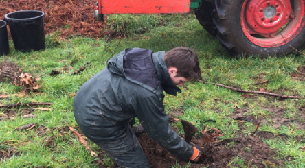 Crach, plantation, Tempête Zeus, Celnat, Ecodis, Capgemini