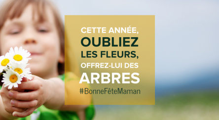 Fête des mères, cadeau, Maman, arbres