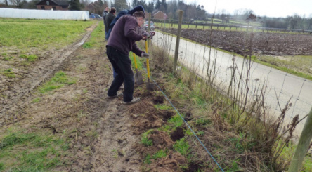 Ghissignies, Plantation, maraîcher, planteurs volontaires