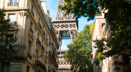 Journée Internationale des Forêts, concours photo, photo, arbres, villes