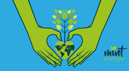 reforestation, reboisement, Forêt, planter, arbre, environnement, climat, planète, écologie