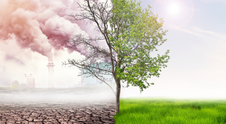 AR6 Synthesis Report, IPCC 6th Climate Change Report, 2023 : Key findings, policy options and the role of forests