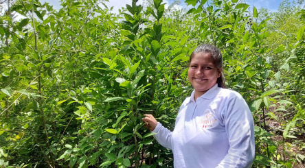 Femme devant plantations