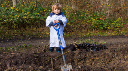 Reforestation is the planting of trees within an existing stand