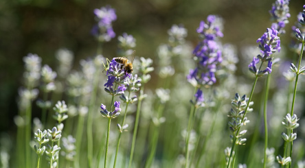 climat, écogeste, développement durable, solidarité