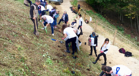 Thoiry, Engie, plantation, team building